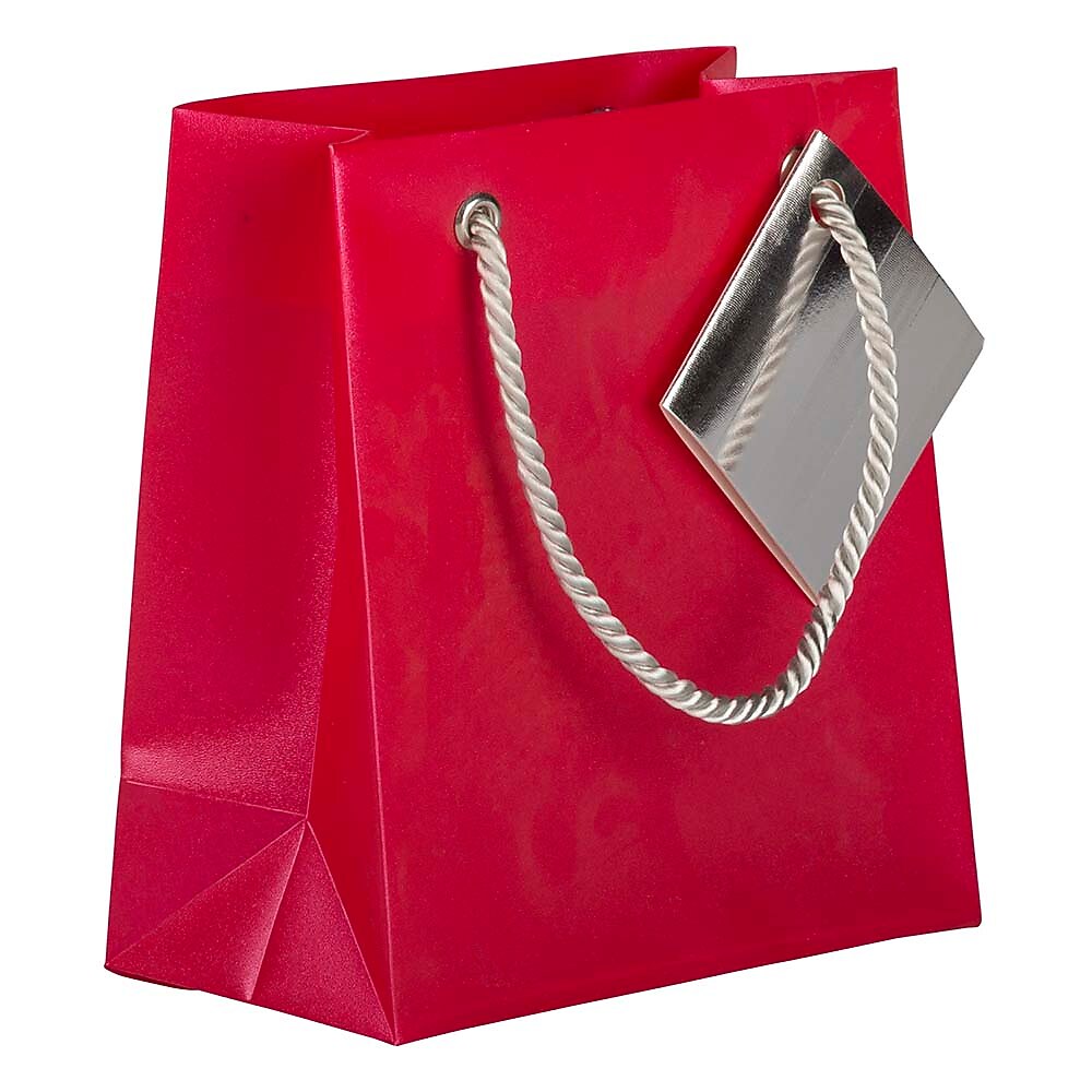 JAM PAPER Opaque Shopping Bags, Mini, 5 3/4 x 5 3/4 x 2 1/2, Red, Bulk 100 Bags/Pack (461996B)