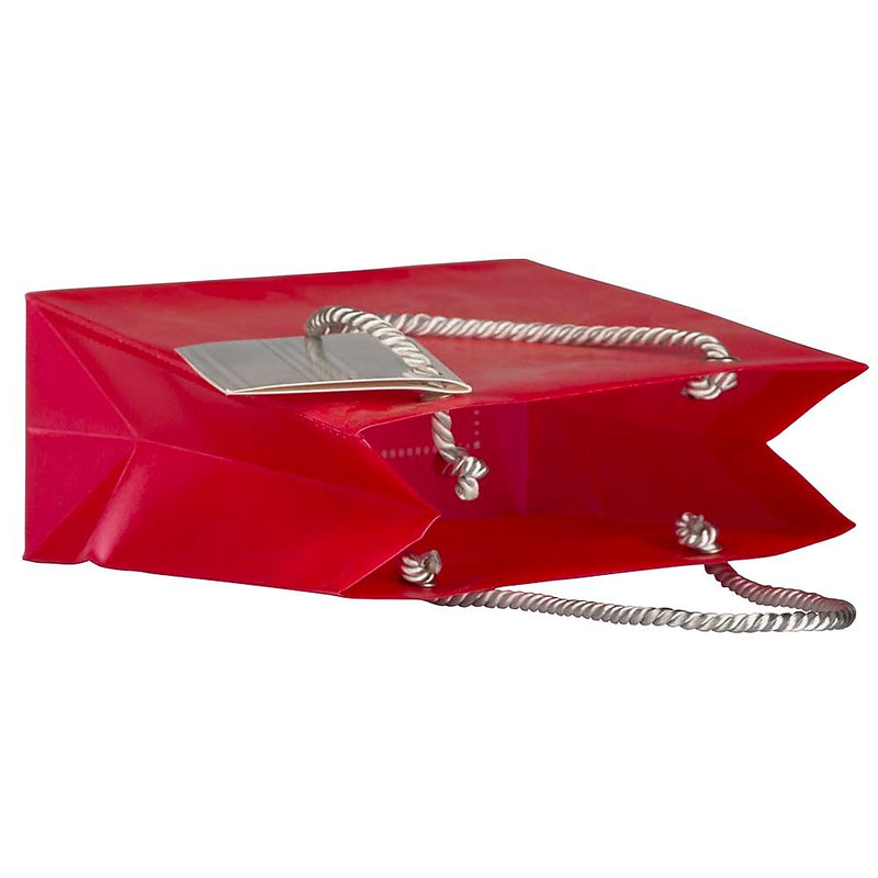 JAM PAPER Opaque Shopping Bags, Mini, 5 3/4 x 5 3/4 x 2 1/2, Red, Bulk 100 Bags/Pack (461996B)