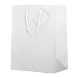JAM Paper Glossy Gift Bag with Rope Handles, 10" x 5" x 13", White, 3 Bags/Pack (673GLWHB)