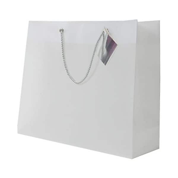 JAM PAPER Translucent Shopping Bags, 10 1/2 x 13 x 4, Clear, Bulk 500 Bags/Box (0462001C)