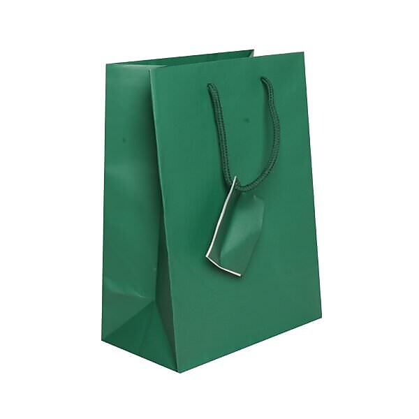 JAM Paper Matte Gift Bag with Rope Handles, 8" x 10" x 4", Green, 3 Bags/Pack (672MAGRA)