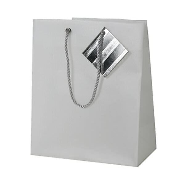 JAM PAPER Opaque Shopping Bags, Small, 7 1/2 x 9 x 4, Clear, Bulk 100 Bags/Pack (461998B)