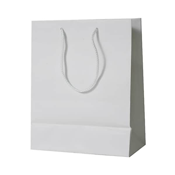 JAM Paper Gift Bags with Rope Handles, 10" x 13" x 5", White Matte, 3/Pack (673MAWHA)