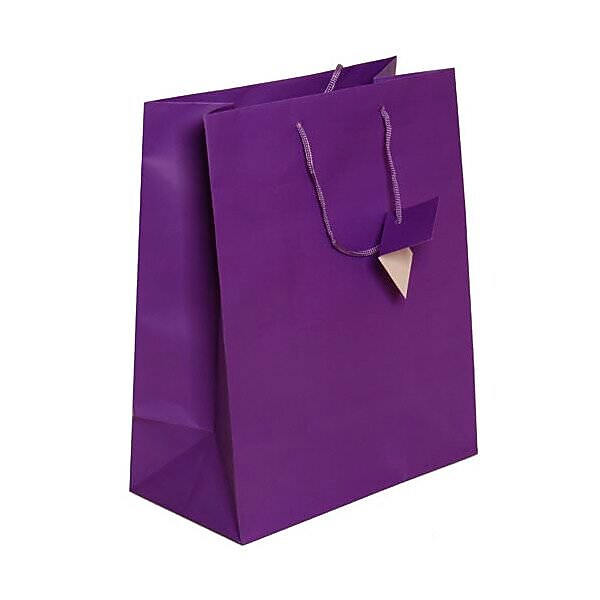 JAM Paper Gift Bags with Rope Handles, 10" x 13" x 5", Purple Matte, 3/Pack (673MAPUA)