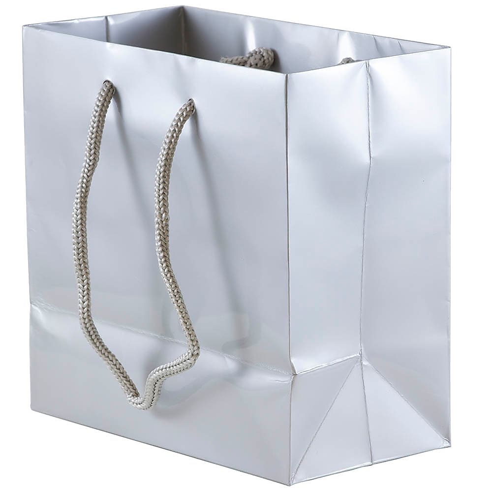 JAM Paper Glossy Gift Bag with Rope Handles, 6.5" x 6.5" x 3.5", Silver, 3 Bags/Pack (896GLSIA)