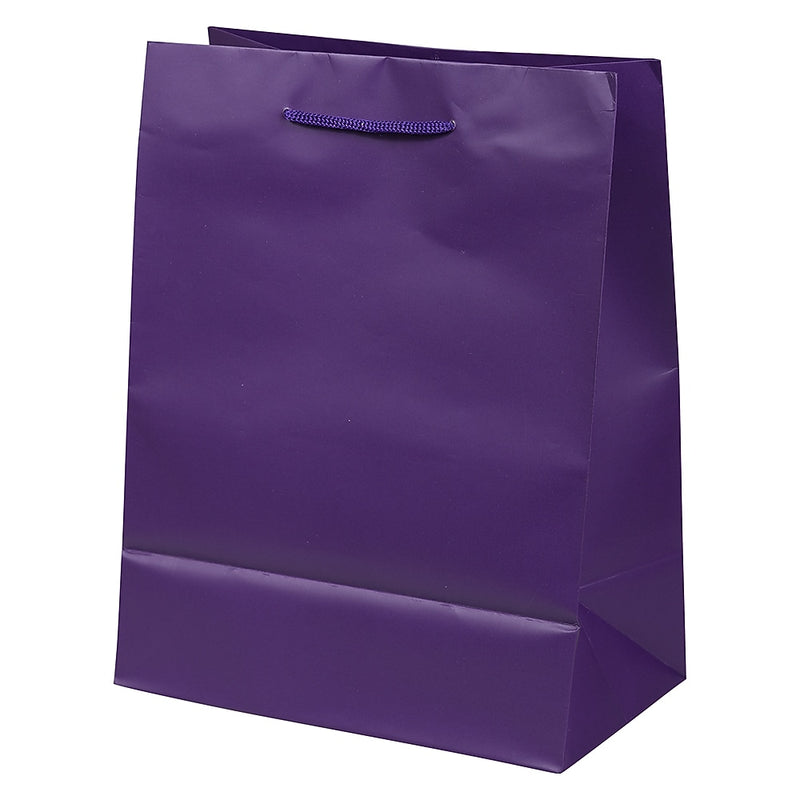 JAM Paper Gift Bags with Rope Handles, 8" x 10" x 4", Purple Matte, 3/Pack (672MAPUA)
