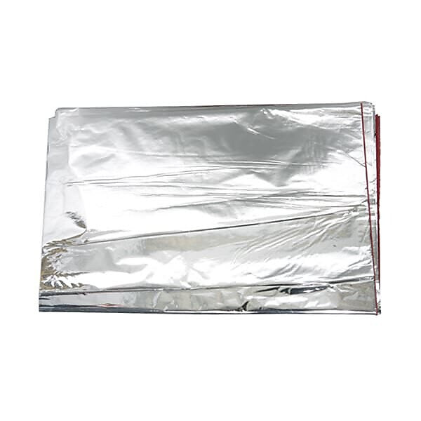 JAM Paper 20" x 26" Tissue Paper, Silver Mylar, 100 Sheets/Ream (1172423)