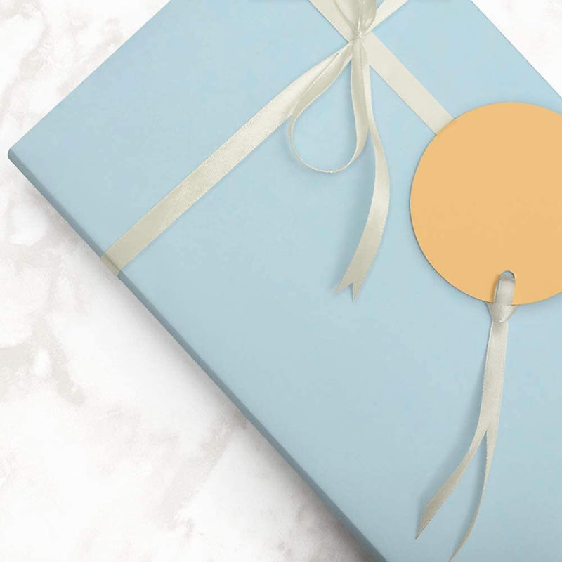 JAM Paper Wrapping Paper, 25 Sq. ft. x 30", Matte Light Baby Blue/Pool Blue, 2/Pack (170128192A)