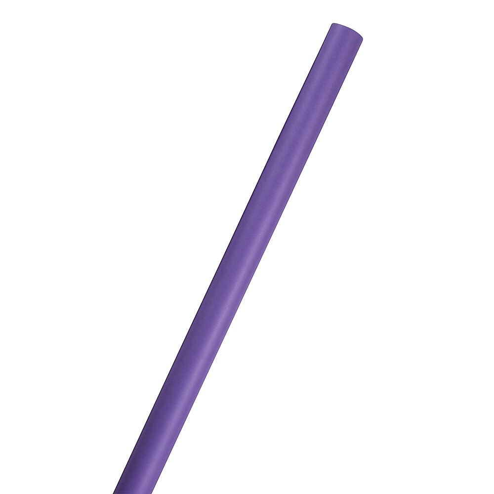 JAM Paper Wrapping Paper, 25 Sq. ft. x 30", Matte Purple, 2/Pack (170134226A)