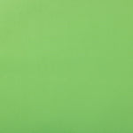 JAM Paper Wrapping Paper, 25 Sq. ft. x 30", Matte Lime Green, 2/Pack (170134225A)