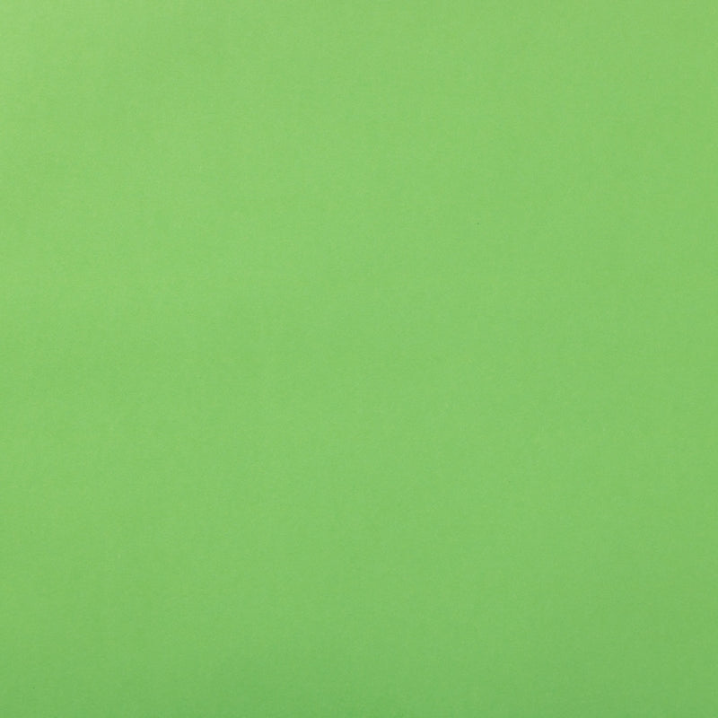 JAM Paper Wrapping Paper, 25 Sq. ft. x 30", Matte Lime Green, 2/Pack (170134225A)