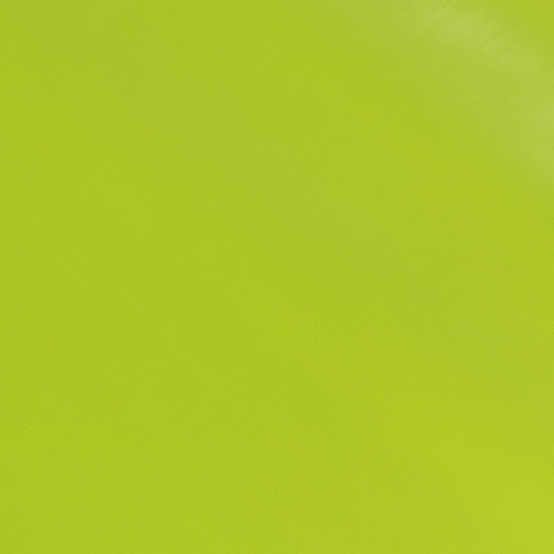 JAM Paper Wrapping Paper, 25 Sq. ft. x 30", Lime Green, 2/Pack (165S25LIA)