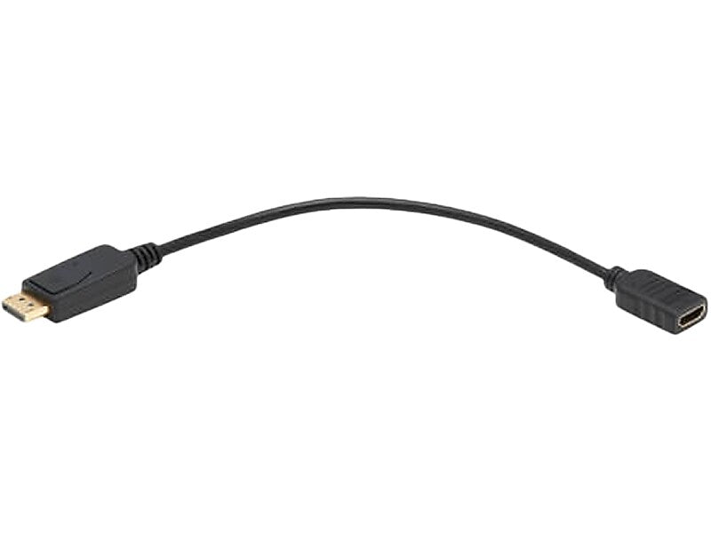 Tripp Lite DisplayPort to HDMI Adapter (P136-001)