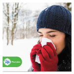 Puffs Plus Lotion Facial Tissue, 2-Ply, White, 124 Sheets/Box, 6 Boxes/Pack, 4 Packs/Carton (PGC39383)
