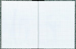 National Brand Laboratory 1-Subject Composition Notebooks, 7.875" x 10.125", Quad, 60 Sheets, Green (RED53108)