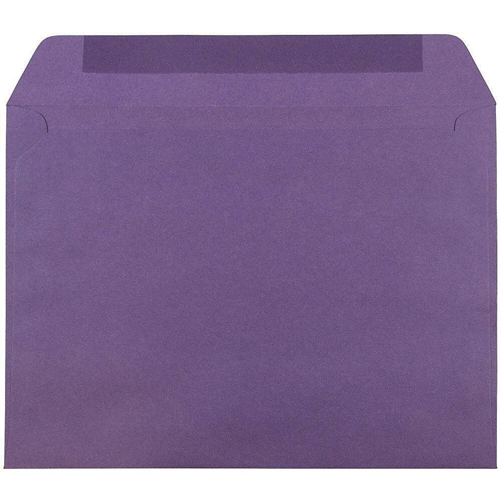 JAM Paper 9 x 12 Booklet Envelopes, Dark Purple, 25/Pack (572312532)
