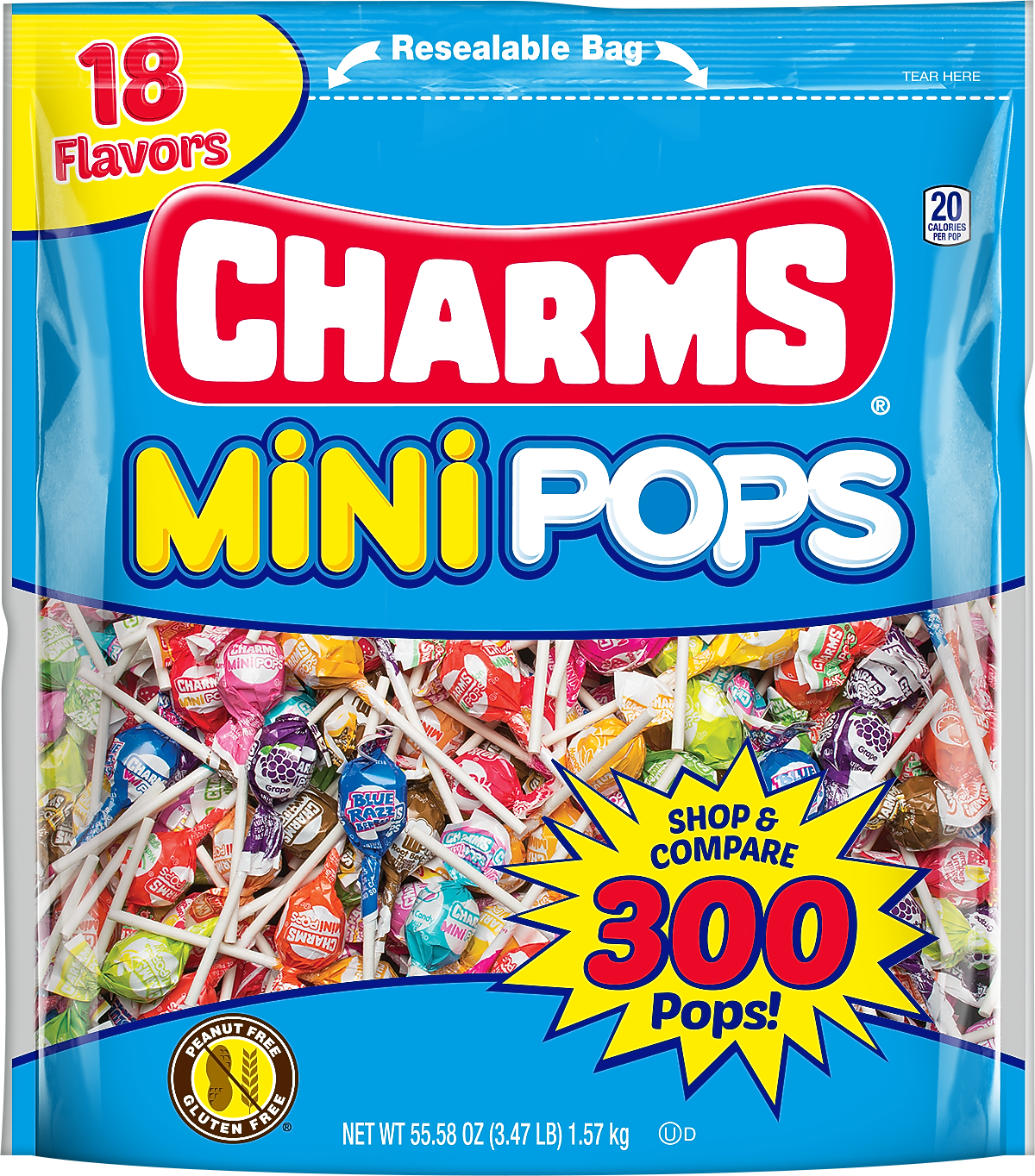 Charms Mini Pops Lollipops, Assorted Flavors, 300 Pieces (209-02010)