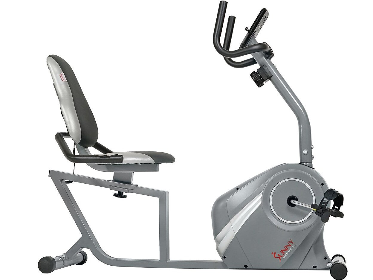 Sunny Health and Fitness Magnetic Recumbent Exercise Bike, Gray (SF-RB4876)