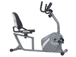 Sunny Health and Fitness Magnetic Recumbent Exercise Bike, Gray (SF-RB4876)