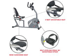 Sunny Health and Fitness Magnetic Recumbent Exercise Bike, Gray (SF-RB4876)