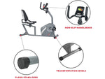 Sunny Health and Fitness Magnetic Recumbent Exercise Bike, Gray (SF-RB4876)