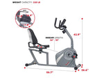 Sunny Health and Fitness Magnetic Recumbent Exercise Bike, Gray (SF-RB4876)