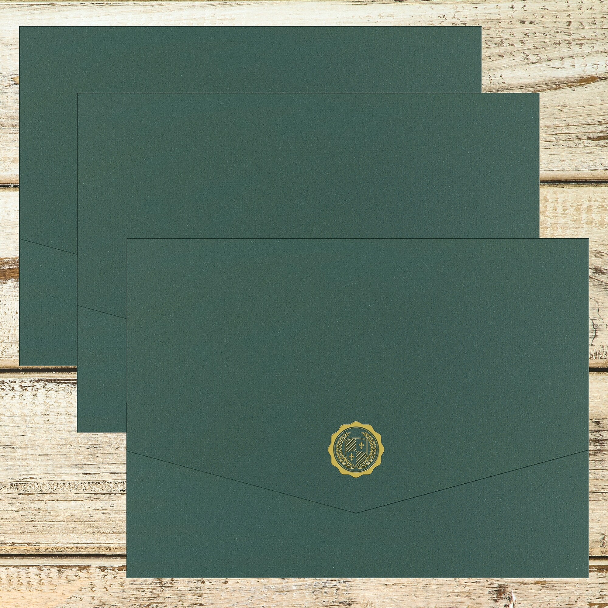 Great Papers Hunter Certificate Holders, 9.375" x 12", Green, 10/Pack (20103780PK2)