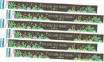 Barker Creek Double-Sided Border, 35" x 3", Prickles, 72/Pack (4052)