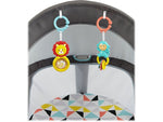 Fisher-Price On-the-Go Baby Dome, Windmill (DRF13)