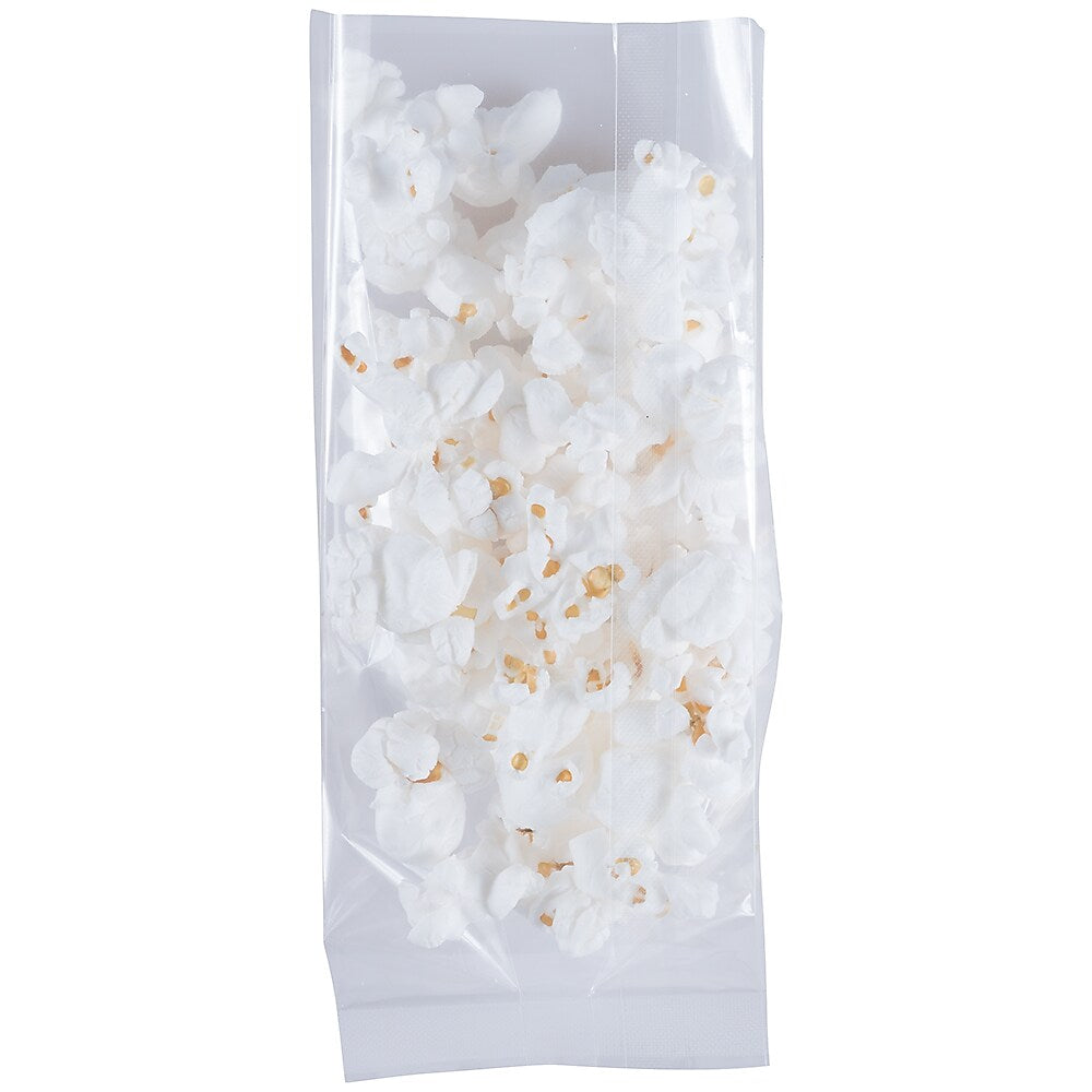 JAM Paper Cello Bags, Small, 2 1/2" x 2" x 6", Clear, Bulk 1000 Bags/Carton (FDA1C)