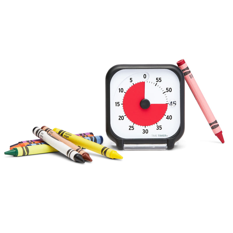 Time Timer 60 Minute Visual Timer 3", Plastic (TTMTT03BW)