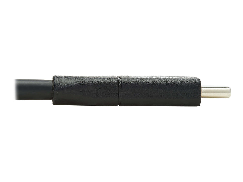 Tripp Lite 10' USB C Power Cable, Black (U040-C3M-C-5A)