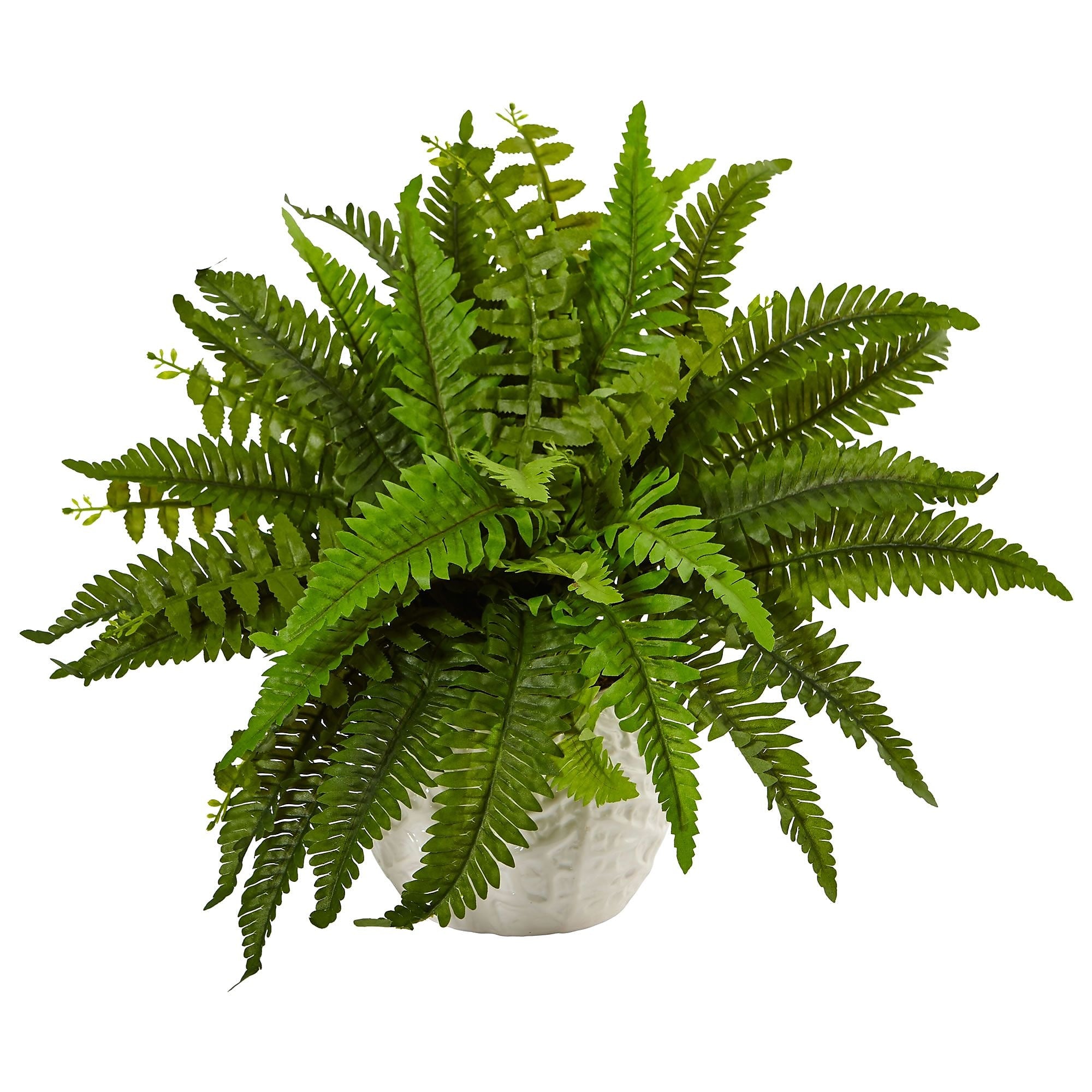 Nearly Natural Boston Fern in White Planter (6308)