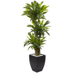 Nearly Natural 5.5’ Corn Stalk Dracaena with Black Wash Planter (6869)