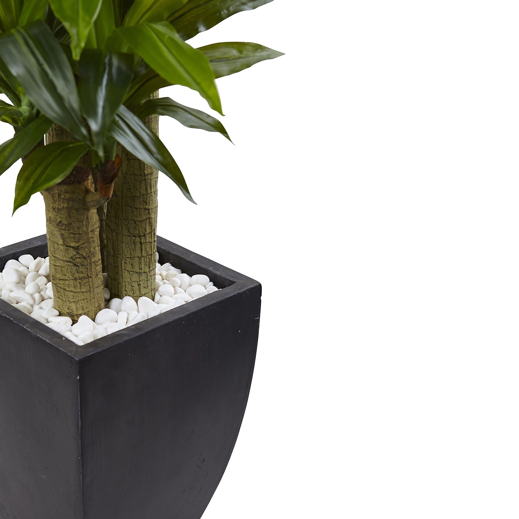 Nearly Natural 5.5’ Corn Stalk Dracaena with Black Wash Planter (6869)
