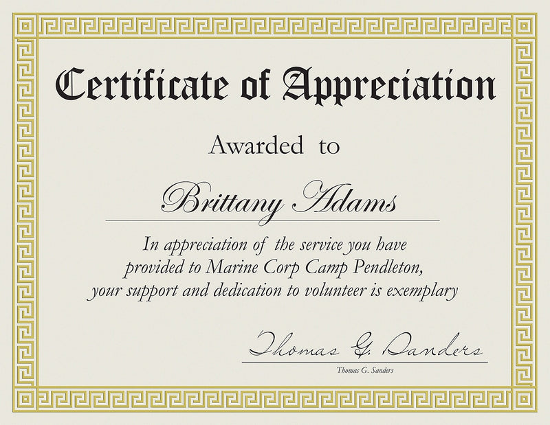 Great Papers Channel Border Foil Certificates, 8.5" x 11", Beige/Gold, 15/Pack (963007)