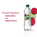 Poland Spring Raspberry Lime Flavored Sparkling Water, 16.9 oz., 24/Carton (12349573/122058)