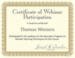 Great Papers Value Excellence Certificates, 8.5" x 11", Metallic Gold, 100/Pack (961035S)