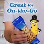 Planters Salted Nuts Variety Pack, 24 Packs/Carton (220-00423)