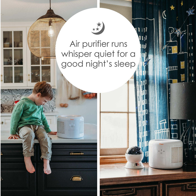 Crane HEPA Tabletop Air Purifier, 3-Speed, White (EE-7002AIR)