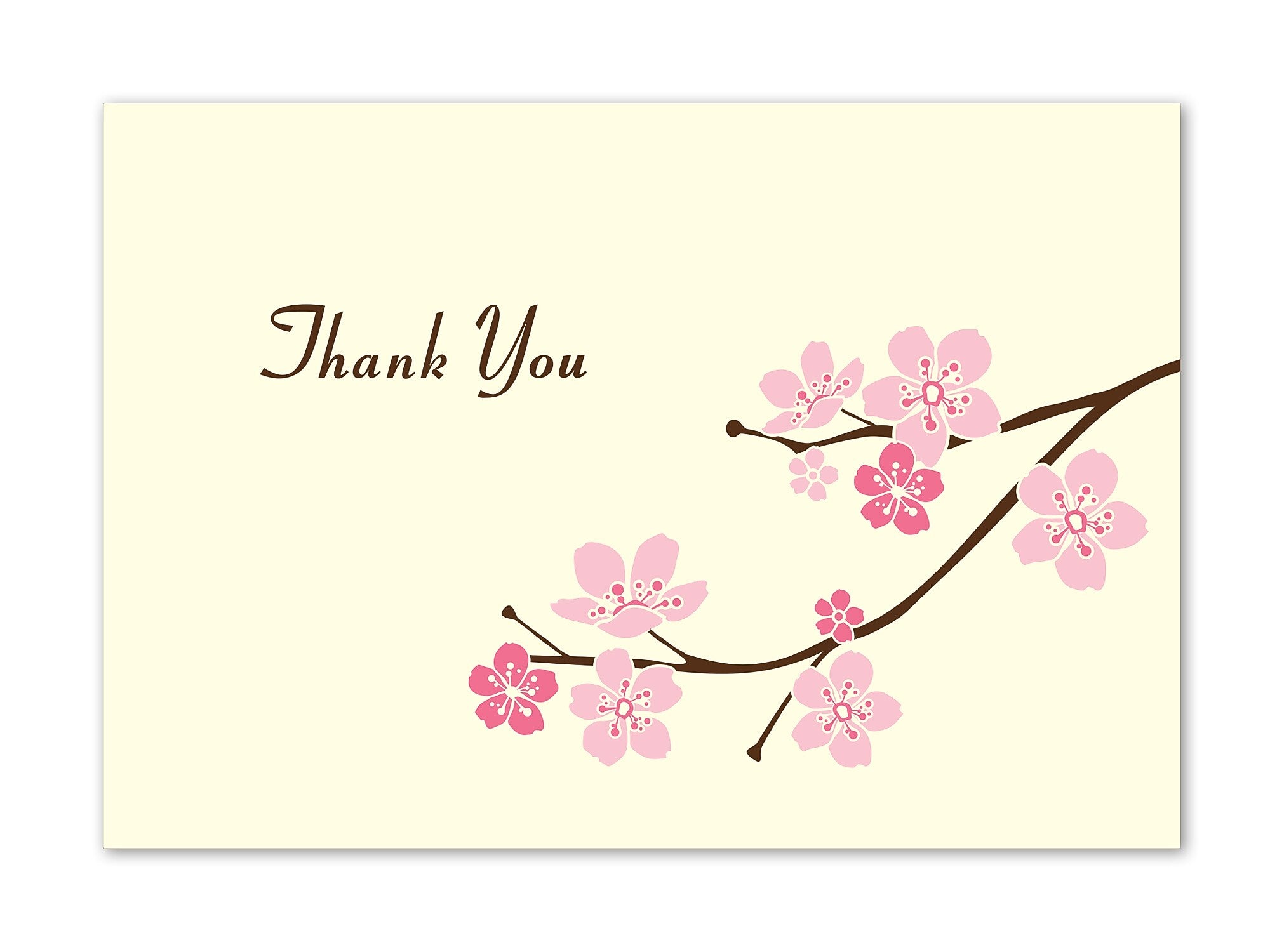 Great Papers! Blossom Branches Thank You, 50 count