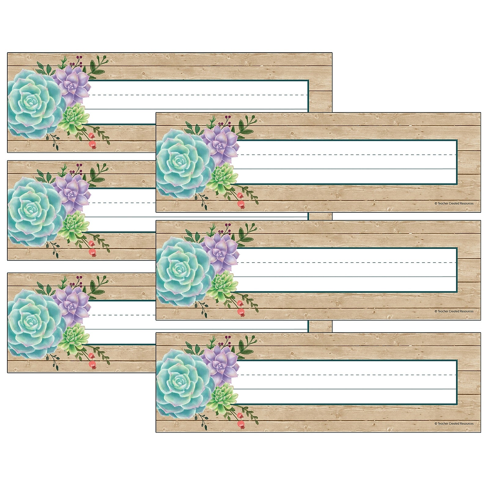Teacher Created Resources Rustic Bloom Name Plates, 11.5" x 3.5", 36 Per Pack, 6 Packs (TCR8555-6)