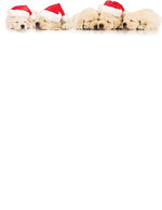 Great Papers!® Holiday Stationery, Santa Puppies, 8.5" x 11", 80 Sheets (2017018)