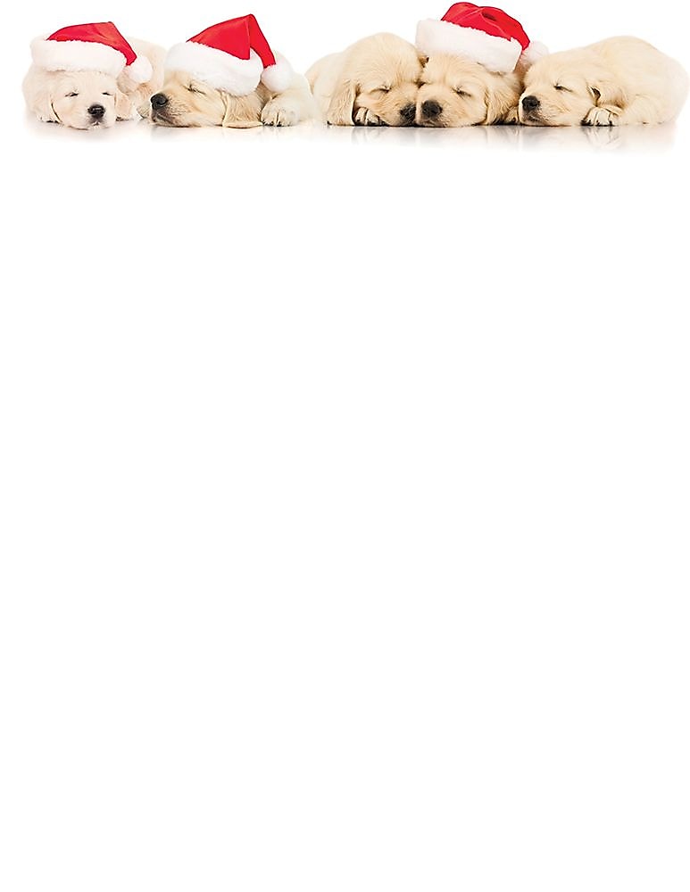 Great Papers!® Holiday Stationery, Santa Puppies, 8.5" x 11", 80 Sheets (2017018)