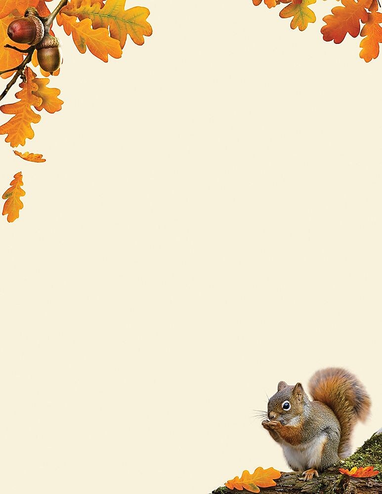 Great Papers!® Fall Stationery, Acorn, 8.5" x 11", 80 Sheets (2017013)