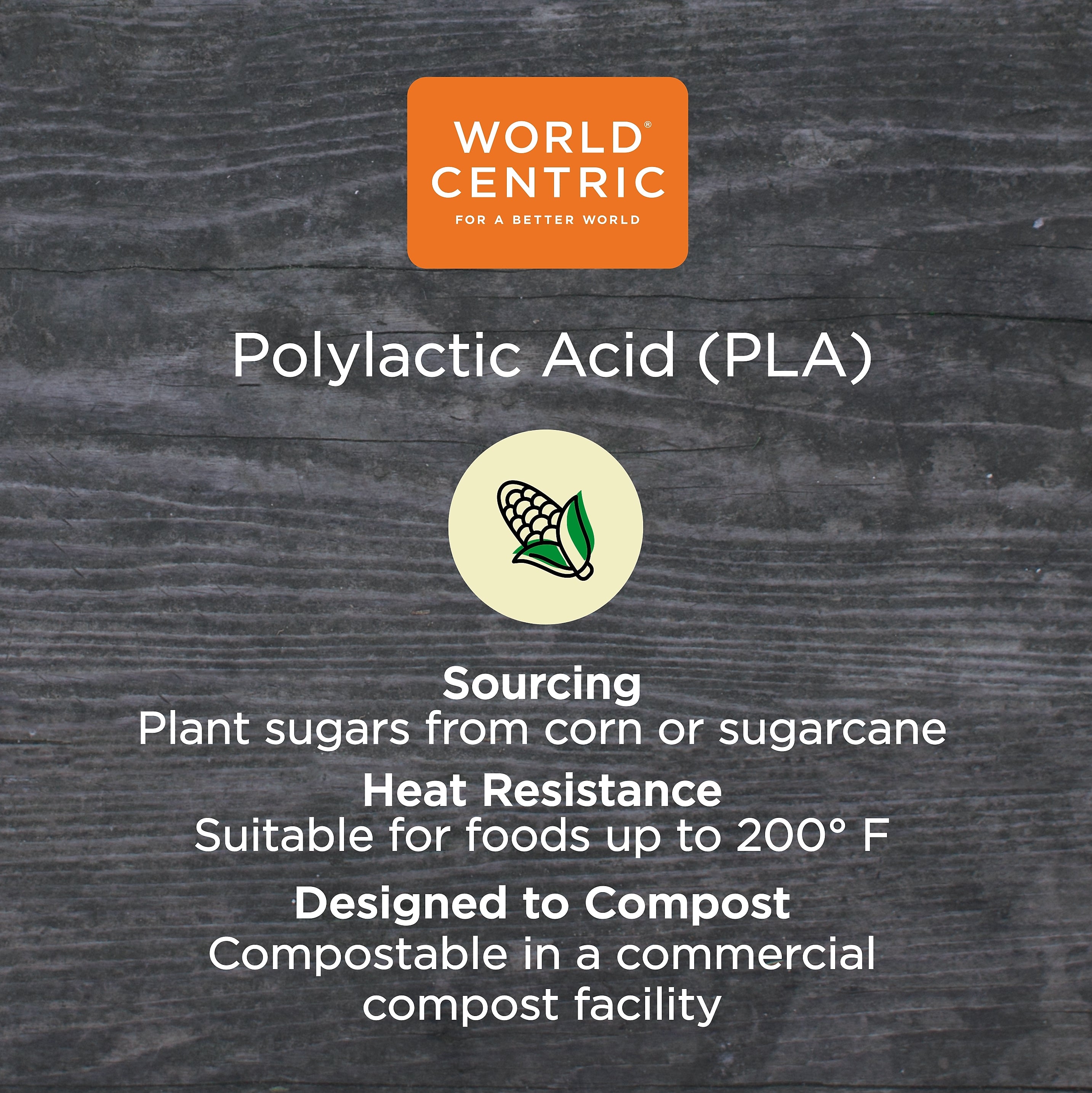 World Centric Fiber Container Lids, 8.8 x 6.9 x 0.8, Clear, 400/Carton
