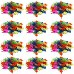 CLI Creative Arts Turkey Feathers, Hot Colors, 14 Grams/Pack, 12 Packs (CHL63030-12)