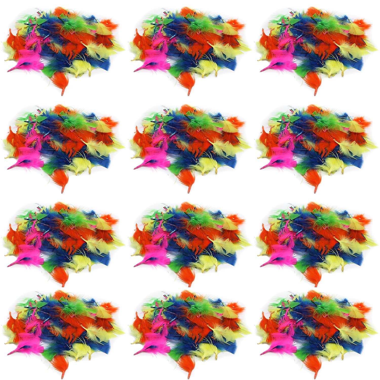 CLI Creative Arts Turkey Feathers, Hot Colors, 14 Grams/Pack, 12 Packs (CHL63030-12)