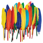 Creativity Street Duck Quills, Assorted Colors, 3" to 5", 14 grams/Pack, 6 Packs (CK-4505-6)