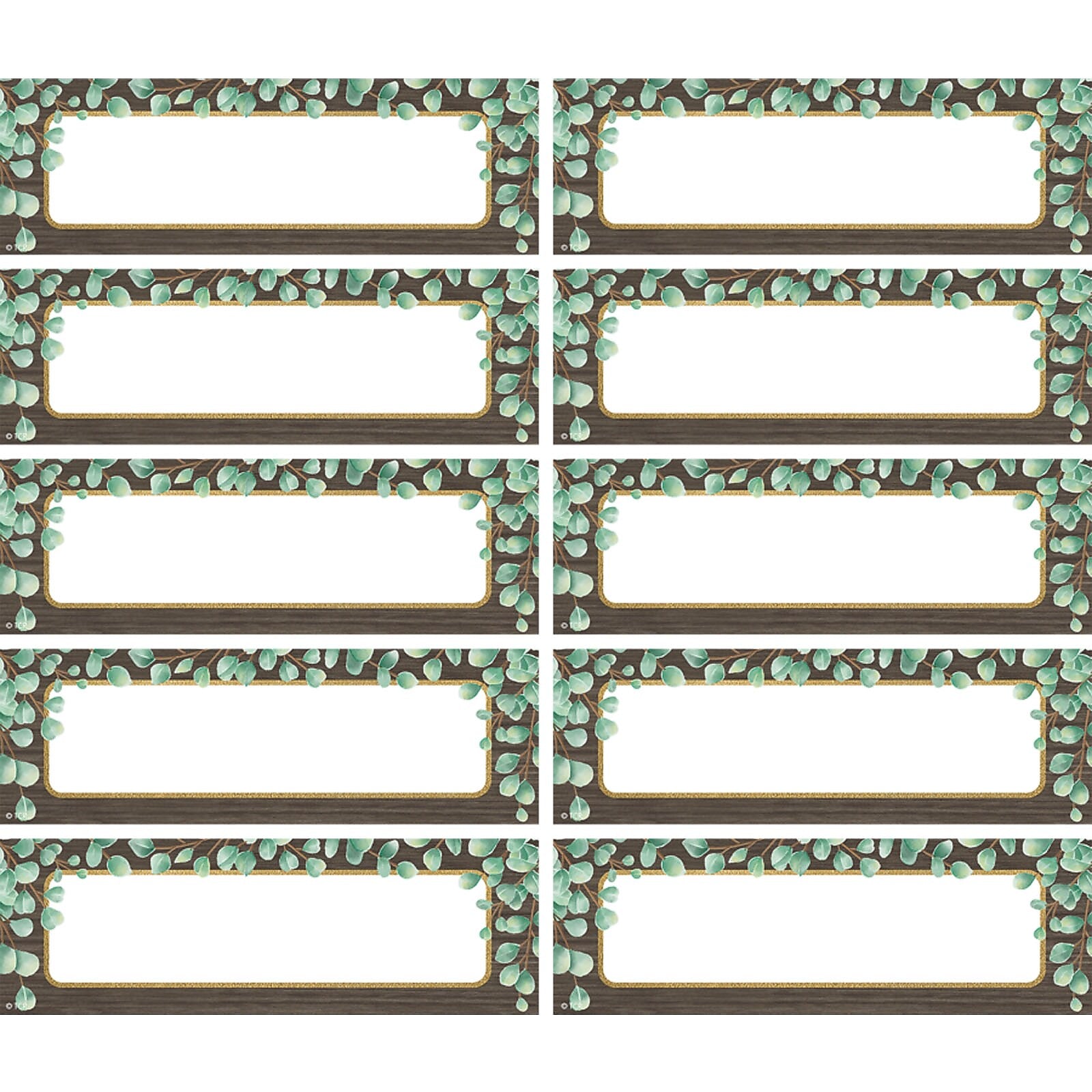 Teacher Created Resources Eucalyptus Labels Magnetic Accents, 20 Per Pack, 3 Packs (TCR77483-3)